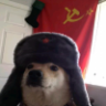 Doge Ruso